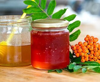 Rönnbärsgelé med honung