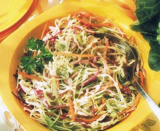 Färgglad coleslaw