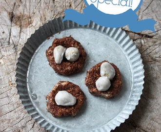 Raw Easter Special: White chocolate Eggs in a coconut Nest (Nut free)