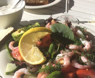 En sallad med räkor och avocado, ljuvligt en härlig sommardag!