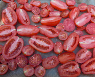 Torkade tomater