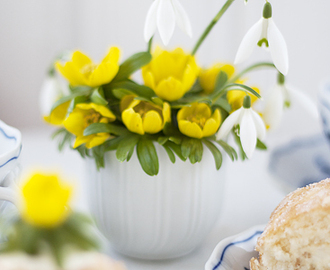 Kokosrulltårta med lemoncurd