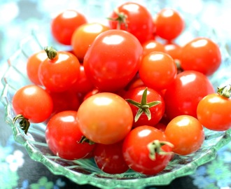 Window farming / en skål inomhusodlade tomater