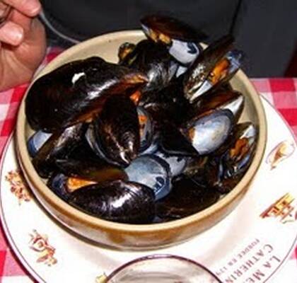 Vitvinskokta musslor