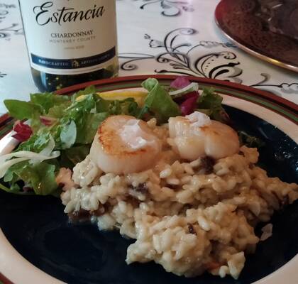 Trattkantarell-risotto med stekta pilgrimsmusslor