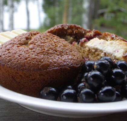 Vinbärsmuffins med råg i ryggen