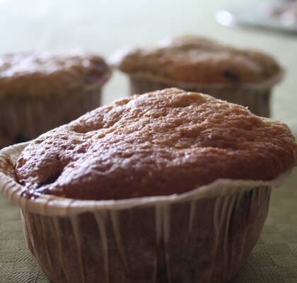 Amerikanska blåbärsmuffins