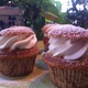 Muffin/Cupcake