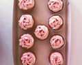 Blomster cupcakes