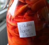 picklade morötter