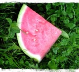 vattenmelon sorbet glassmaskin