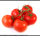 ovnsbakte tomater