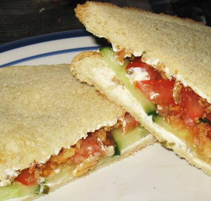 Vegetarisk picknickmacka med gurka, tomat och lök