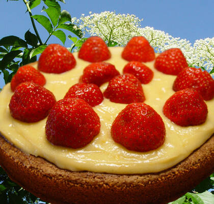 Kladdkaka med fläderblomskräm och jordgubbar