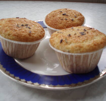 Lavendelmuffins