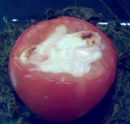 Ugnsbakad tomat
