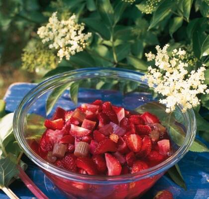 Fläder- och rabarberkompott med jordgubbar