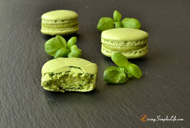 Basil Macarons Recipe