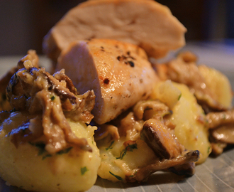 Kylling med østershatte og kartofler