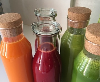 Forskellige homemade slow-juice med Frugt