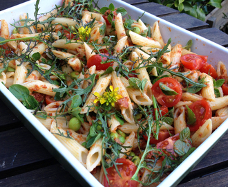 Pastasalat med rød pesto