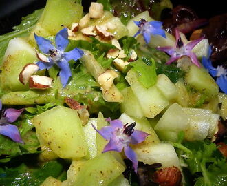 Salat med Melon og Blomsterdrys