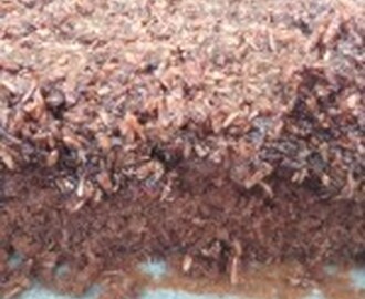 Chokoladekage med kokosglasur