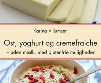 Ny e-bog - Ost, yoghurt og cremefraiche - helt uden mælk og med glutenfrie muligheder