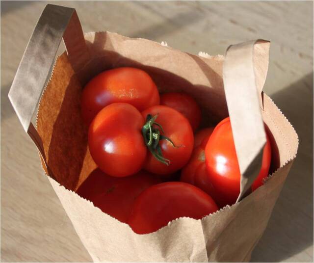 Sommertilbehør: Tomatskiver i fad med hvidløgsolie og balsamico