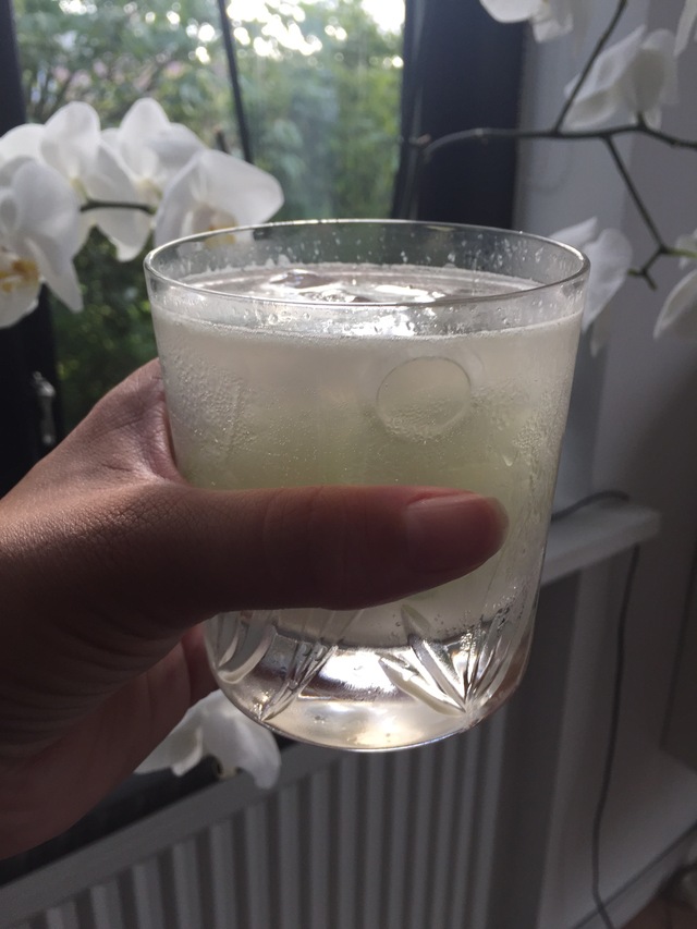 Fredagscocktail – Gin Fizz