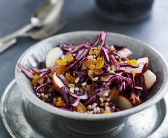 Opskrift på rødkålssalat med spelt og æbler