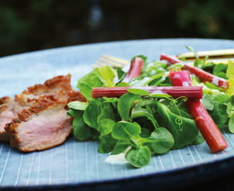 Stegt andebryst med salat med rabarber, ærteskud og ærter og mormordressing