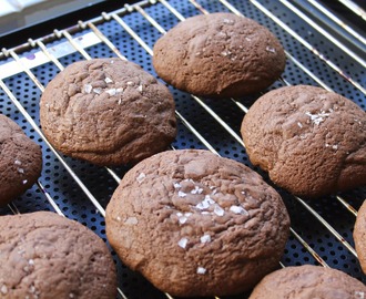 Når Brownie og Cookie går hånd i hånd ved havet