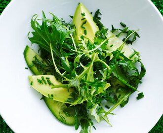 Salat med grønt og friske urter