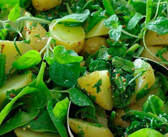 Kartoffelsalat med spinat, grønkål og sennep
