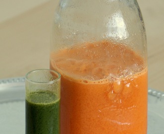 Friskpresset juice med ingefær – og en energibombe af et hvedegræsshot