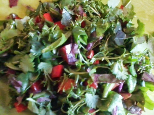 Lækker blandet salat