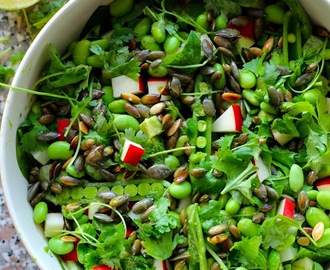 Asiatisk grøn salat med edamamebønner, avocado, græskarkerner og ingefær-koriander-limedressing