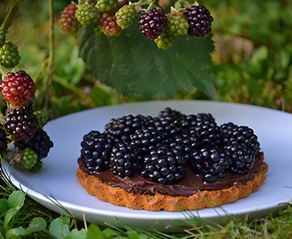 Brombærtærter med chokoladeganache på marcipanbunde