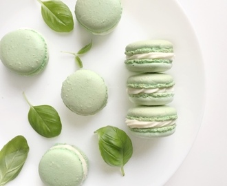 { Macarons } med lime, basilikum og flødeost