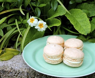 Macarons med citron og hvid chokoladeganache