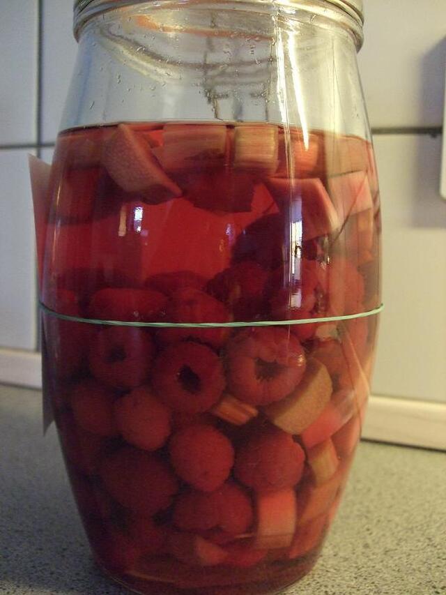 Tøse-snaps med hindbær & rabarber.