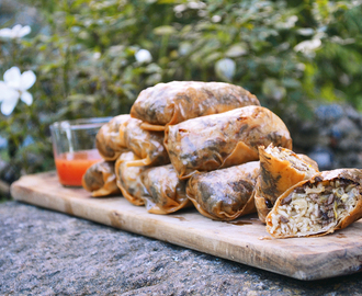 Forårsruller med gråand, spidskål og nudler (og hjemmelavet blommesauce)