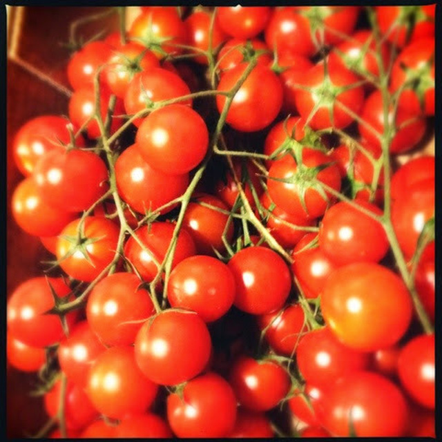 Tomat, tomat og atter tomat...
