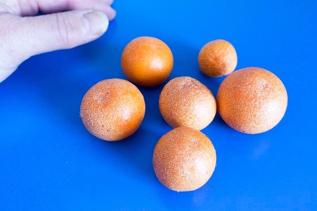 Arktiske appelsiner og sørøg