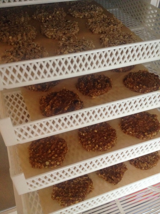 Græskarcookies med kakaonibs og boghvede