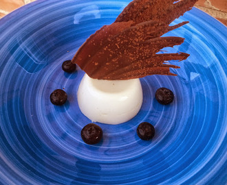 Yoghurt panna cotta med blåbær