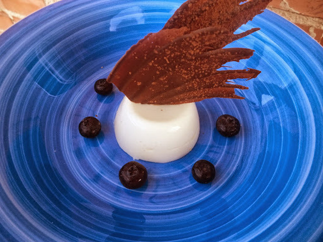 Yoghurt panna cotta med blåbær