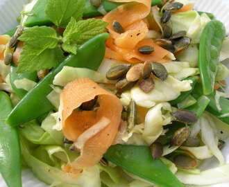 Salat af sommerkål med hyldeblomstdressing