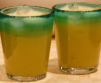 Opfriskende juice på æble, ingefær, citron og bladselleri